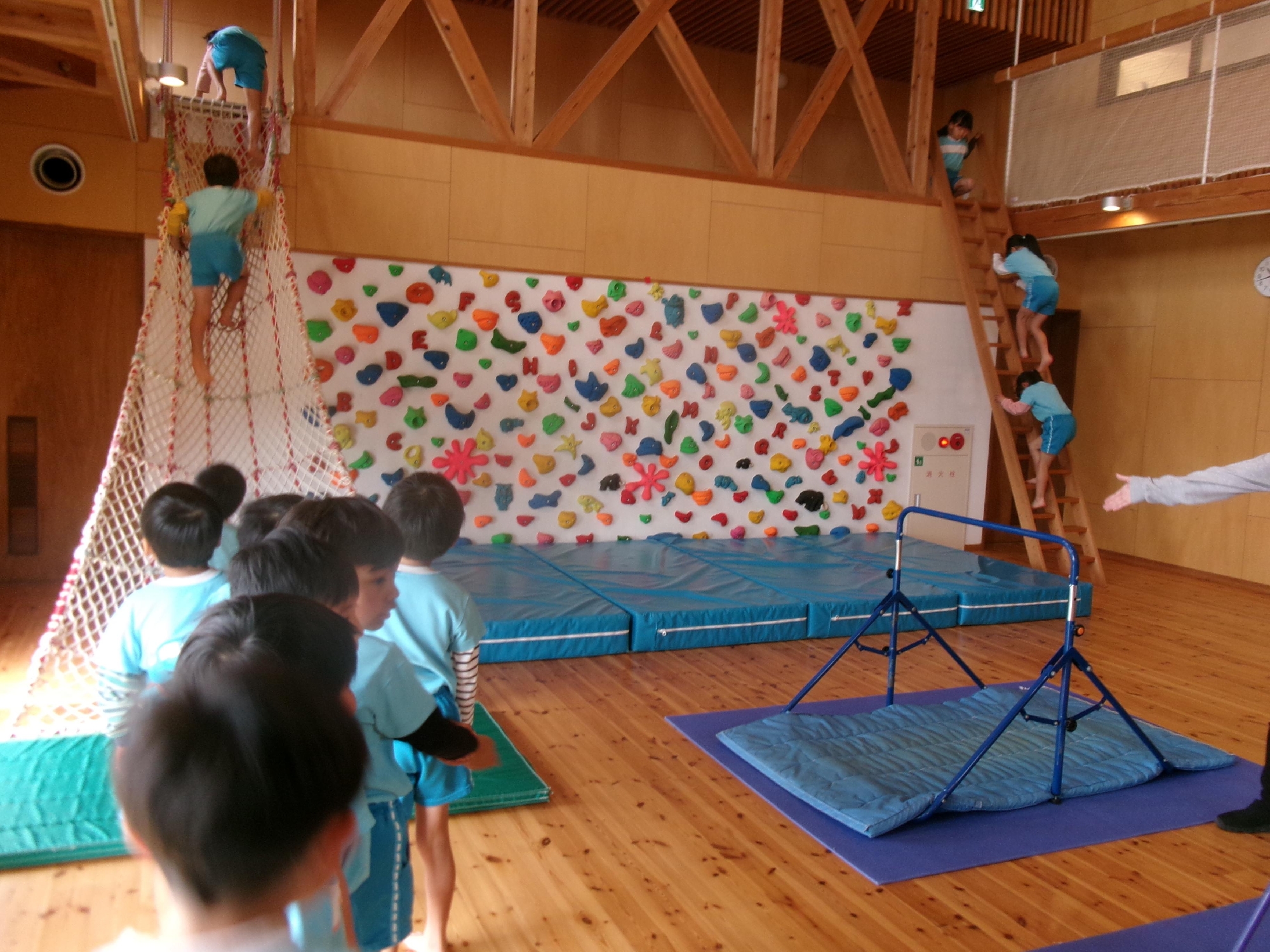 大きくなりました