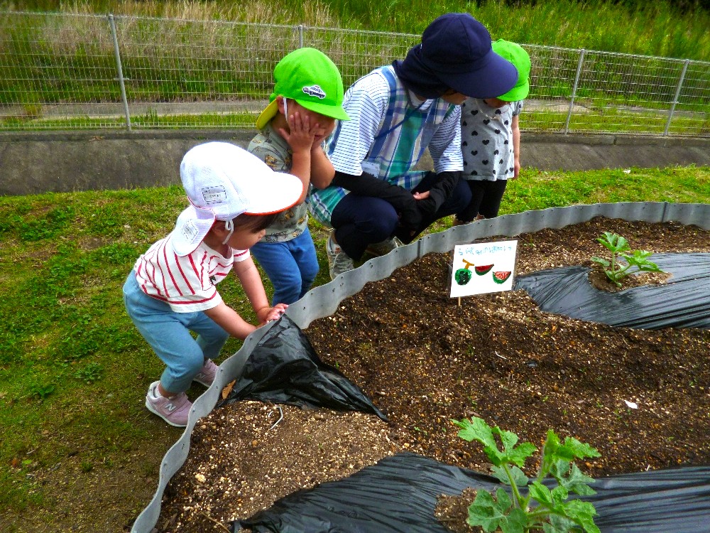 未満児　６月　保育の様子